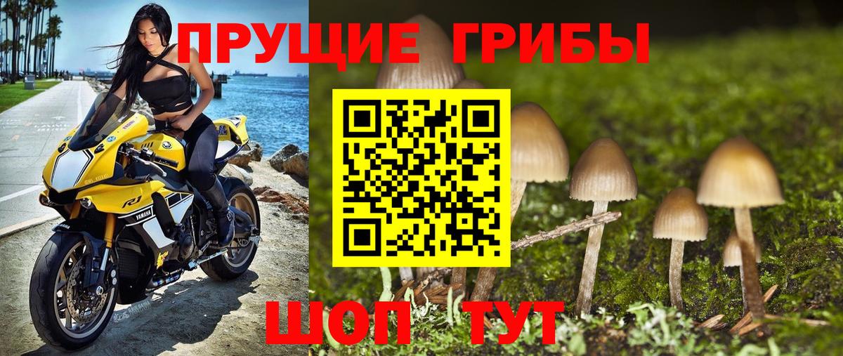 Псилоцибиновые грибы GOLDEN TEACHER Рассказово