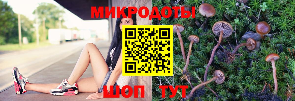 Псилоцибиновые грибы MAGIC MUSHROOMS  Псилоцибиновые грибы Magic Shrooms  что такое наркотик  Рассказово  Вход с VPN 